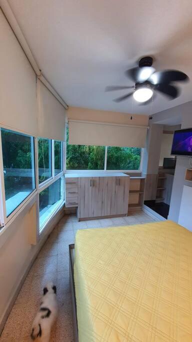 R.501 Estudio Ejecutivo, En El Centro. Panama Dış mekan fotoğraf
